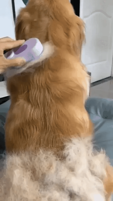 CEPILLO FurFlow™ (Copia)
